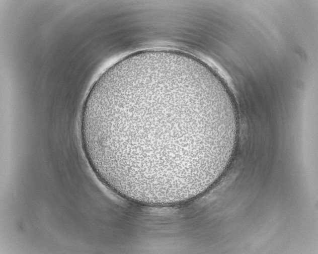 X0000115241429200911271834