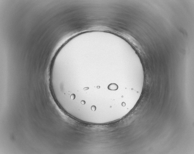 X0000115241430200911271834