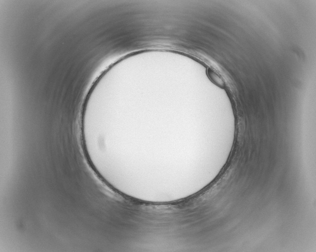 X0000115241432200911271834