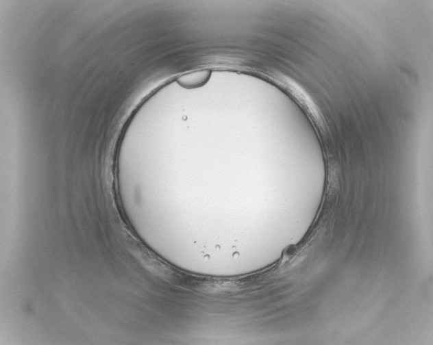 X0000115241435200911271834