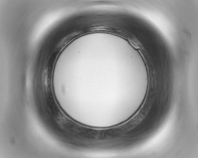 X0000115241438200911271834