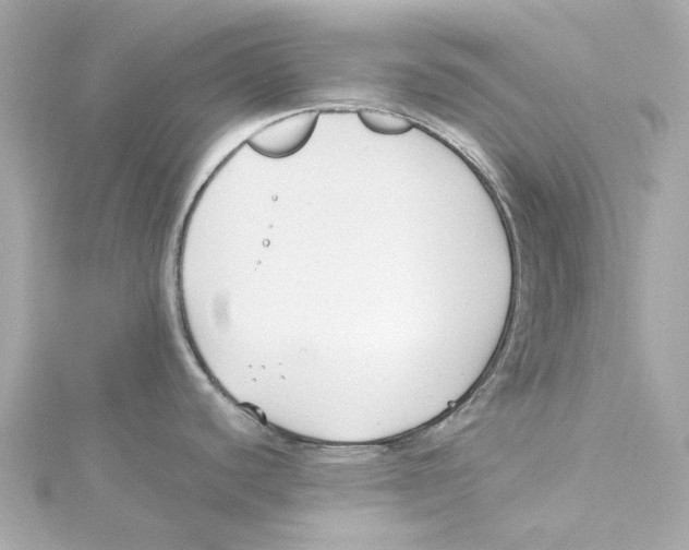 X0000115241440200911271834