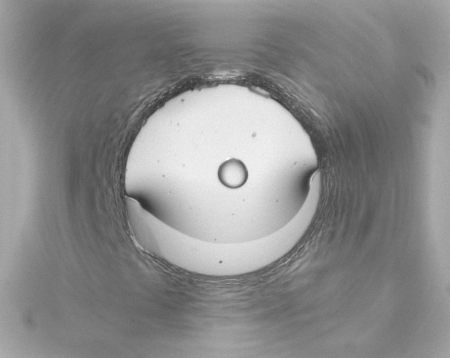 X0000115241441200911271833