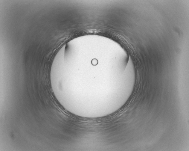 X0000115241444200911271833