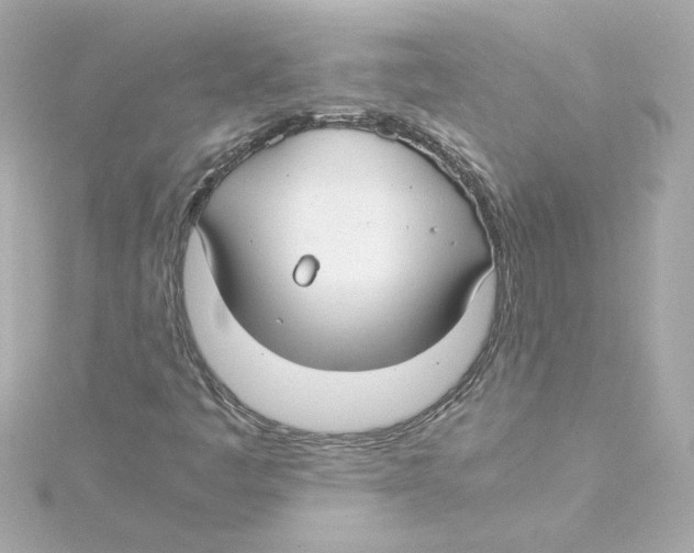 X0000115241445200911271833