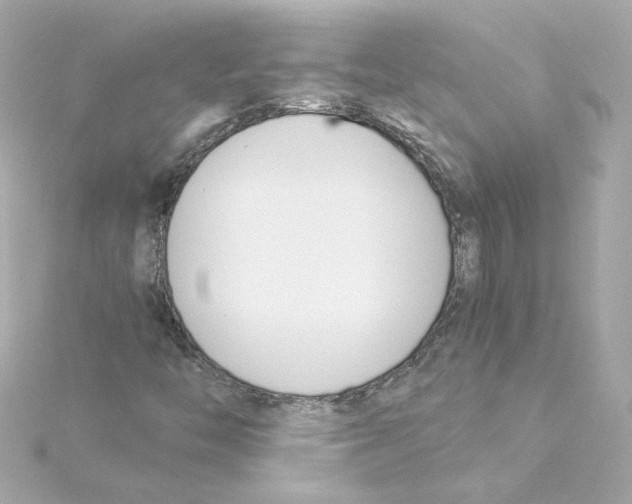 X0000115241446200911271833