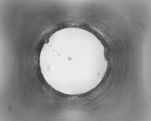 X0000115241447200911271833