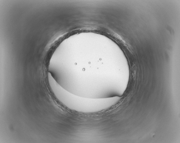 X0000115241448200911271833