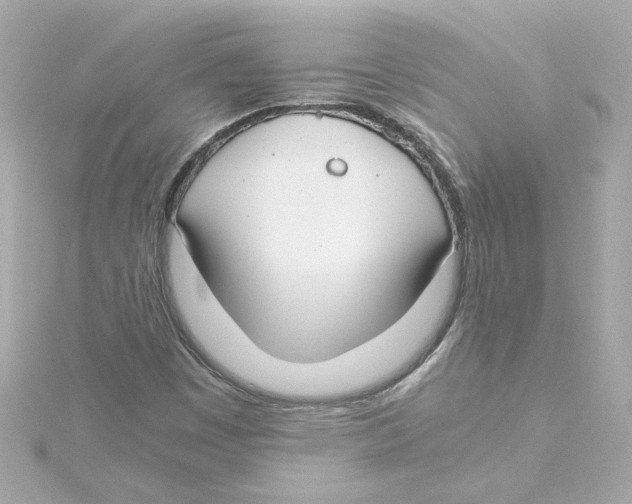 X0000115241449200911271833