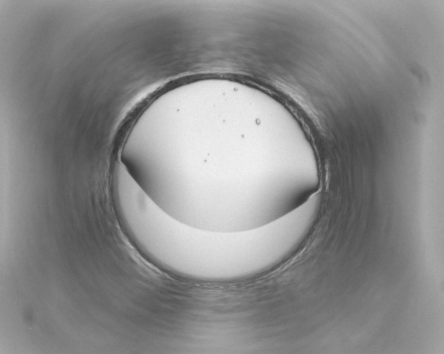 X0000115241452200911271833