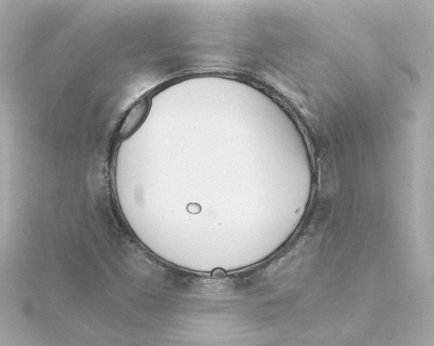 X0000115241453200911271833