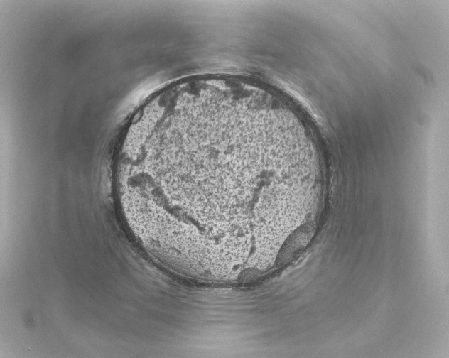 X0000115241455200911271833