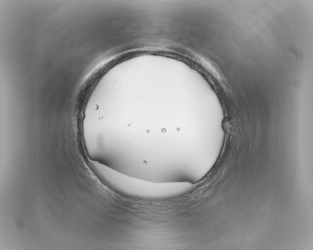 X0000115241456200911271833