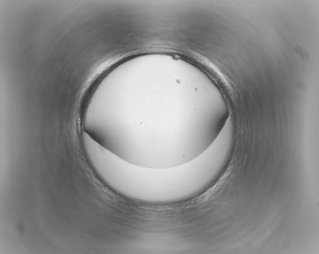 X0000115241461200911271833