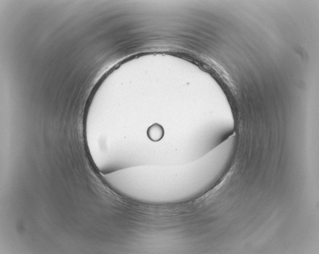 X0000115241465200911271833