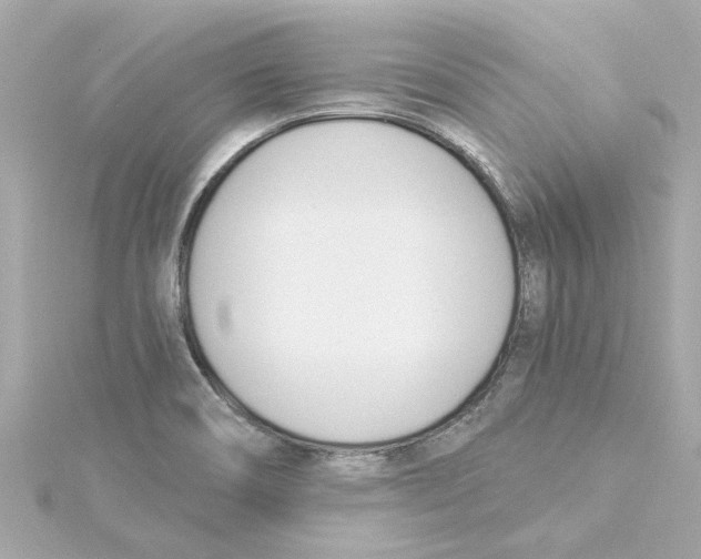 X0000115241466200911271833