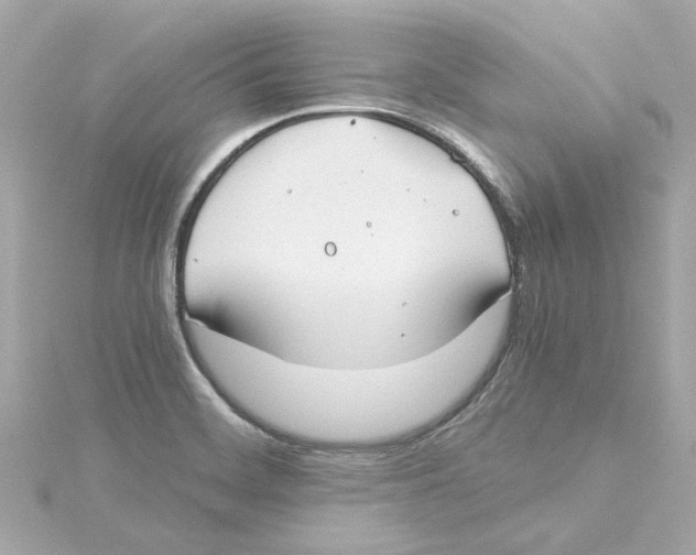 X0000115241468200911271833