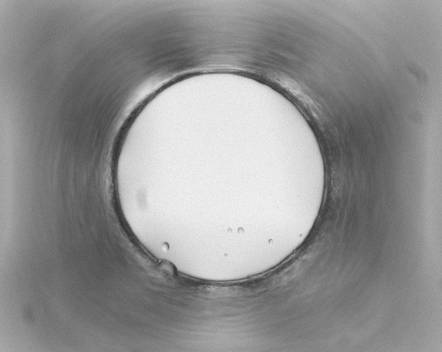 X0000115241469200911271833