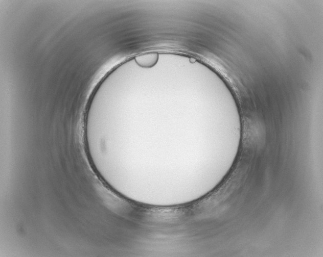 X0000115241474200911271833