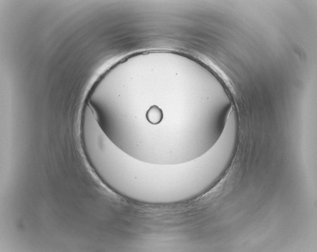 X0000115241477200911271833