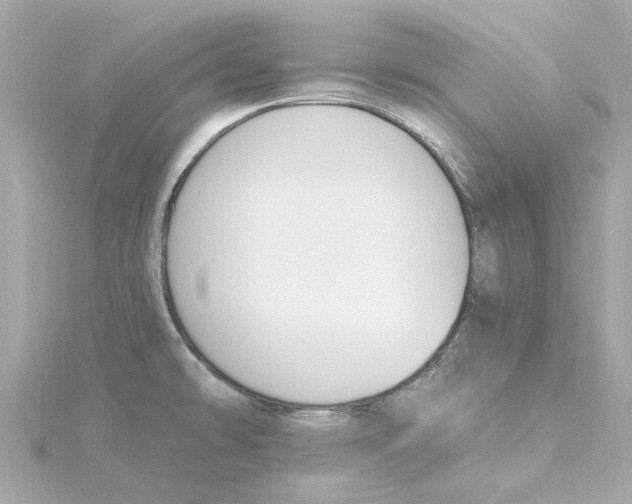 X0000115241478200911271833