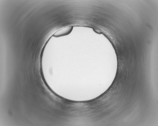 X0000115241479200911271833