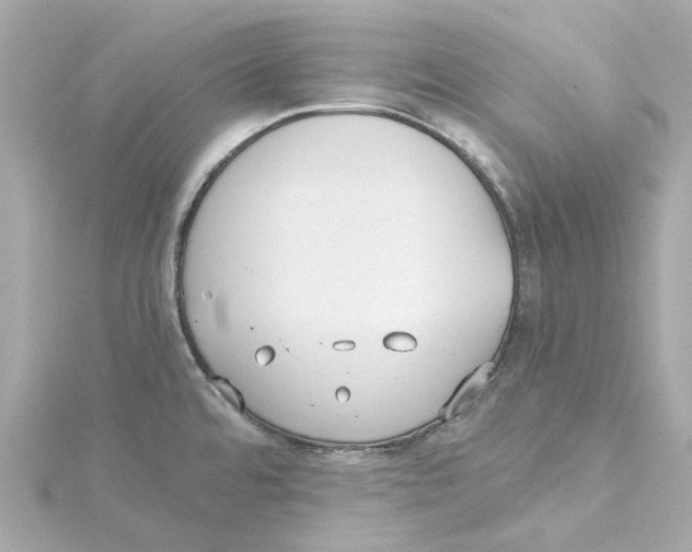 X0000115241480200911271833