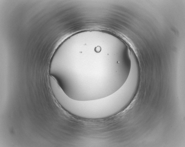 X0000115241481200911271833