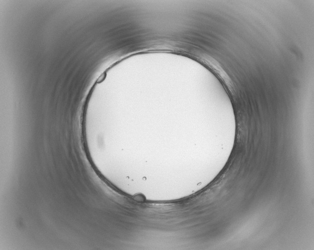 X0000115241483200911271833