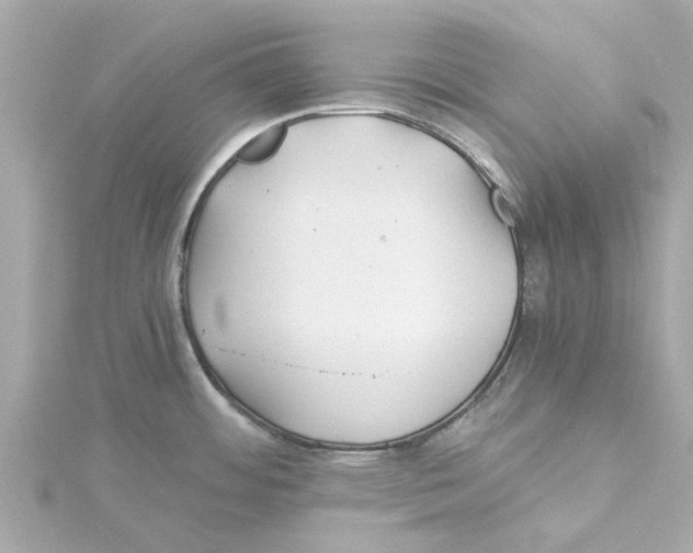 X0000115241484200911271833