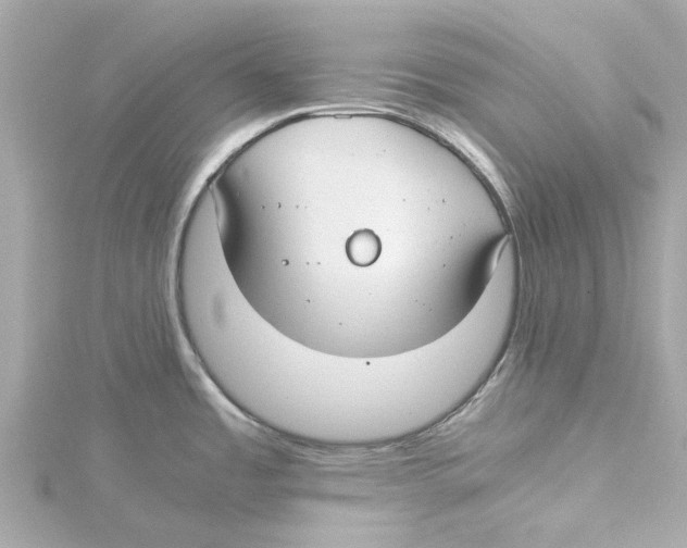 X0000115241485200911271833