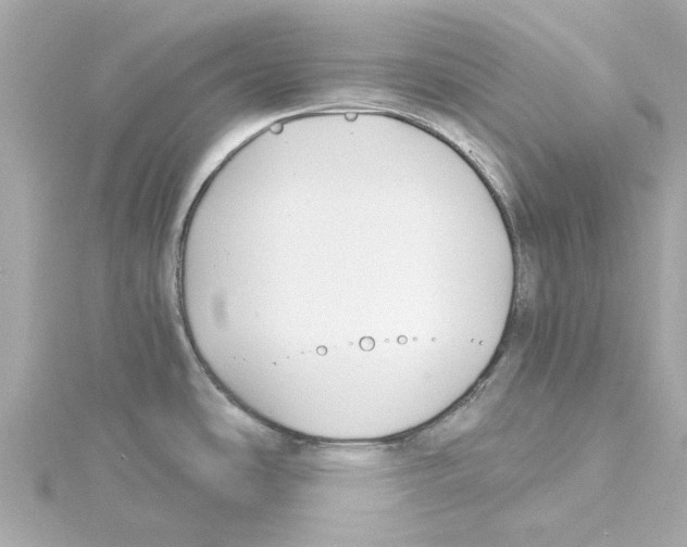 X0000115241486200911271833