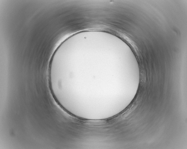 X0000115241487200911271833