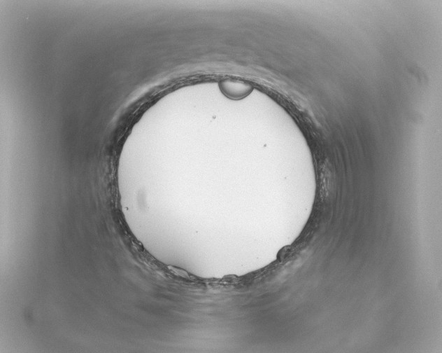 X0000115241494200911271832