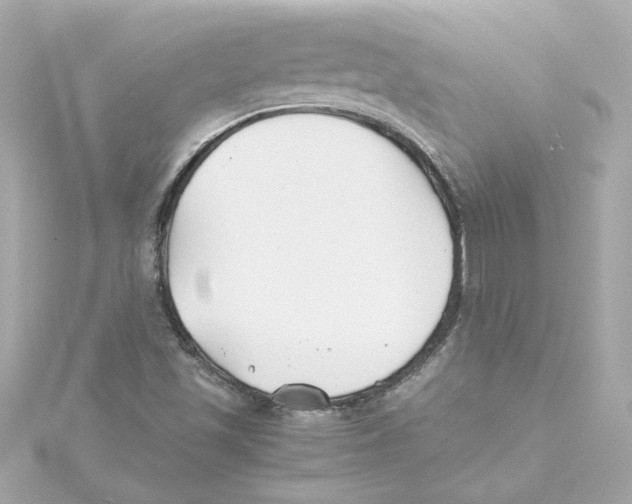 X0000115241501200911271832