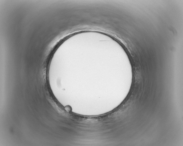 X0000115241503200911271832