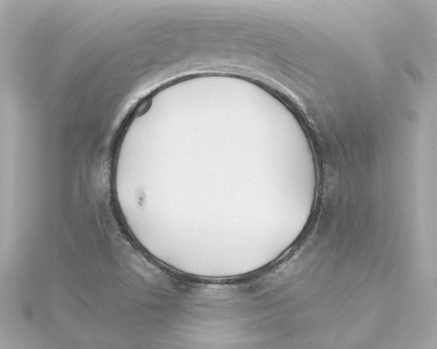 X0000115241506200911271832