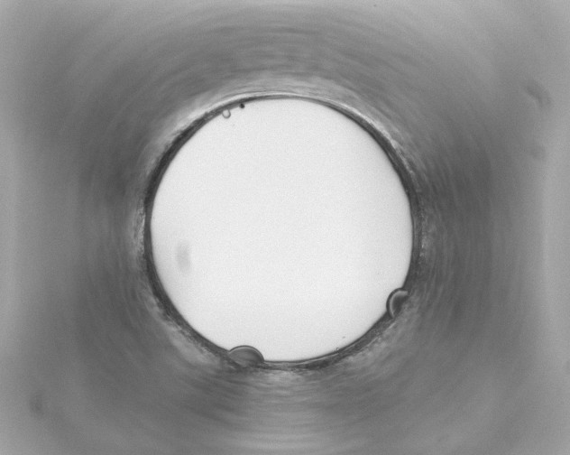 X0000115241507200911271832