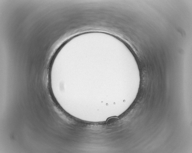 X0000115241511200911271832