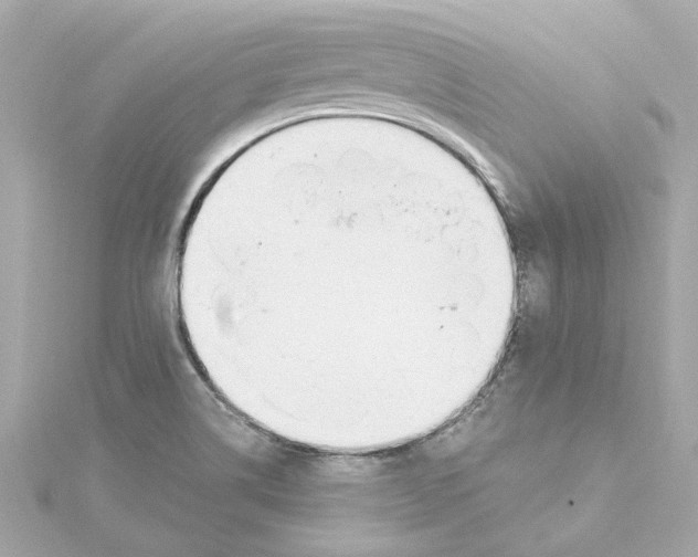 X0000115241514200911271832