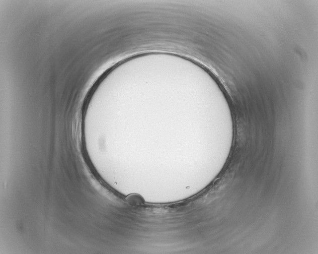 X0000115241515200911271832