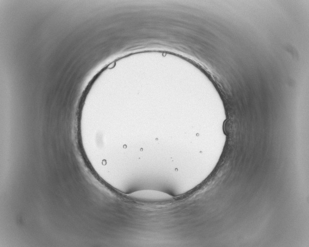 X0000115241518200911271832