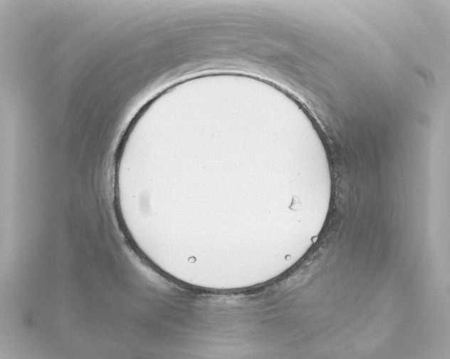 X0000115241519200911271832