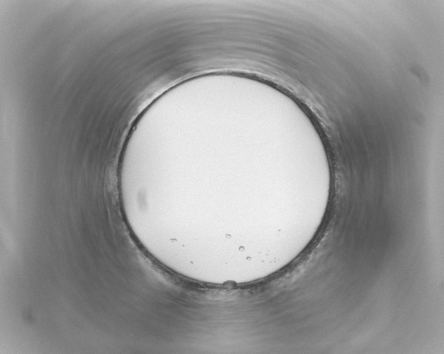 X0000115241521200911271832