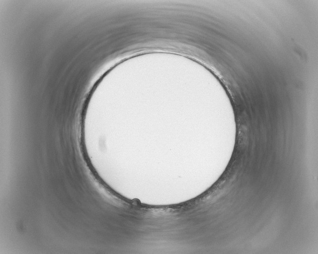 X0000115241523200911271832