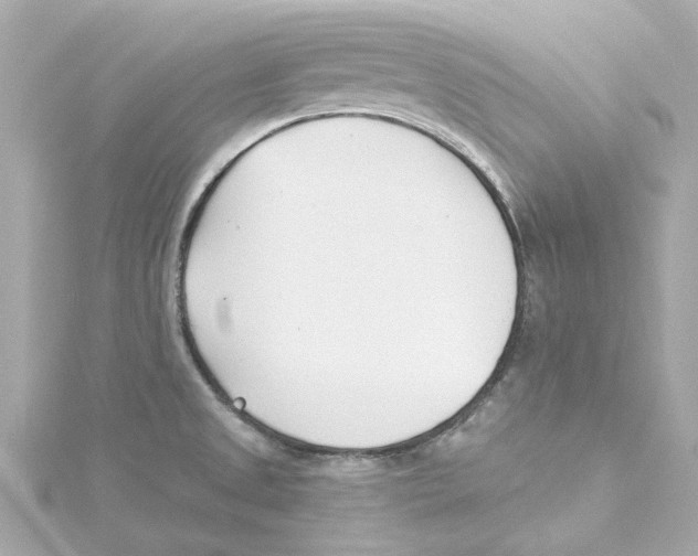 X0000115241525200911271833