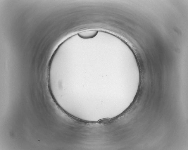 X0000115241526200911271833