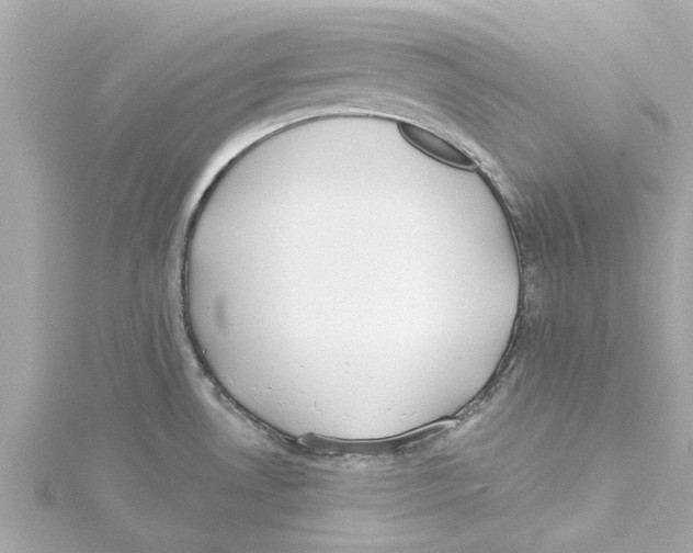 X0000115241530200911271833