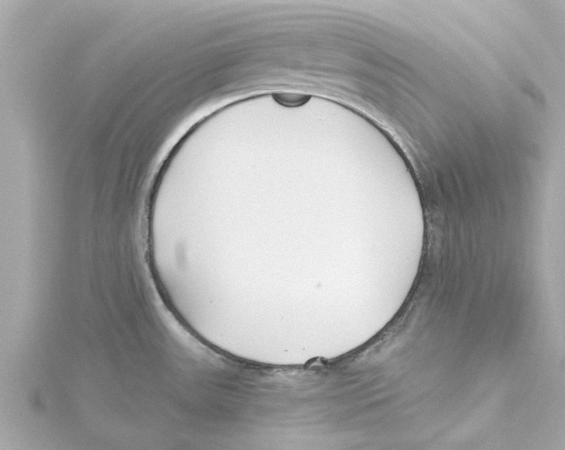 X0000115241531200911271833