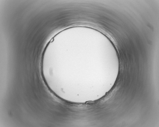 X0000115241533200911271833